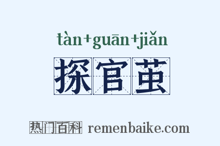 探官茧是什么意思的图片